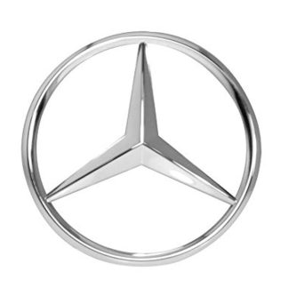 Mercedes Shields