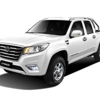GWM Steed