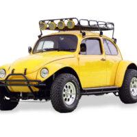 Beetle Baja Bug