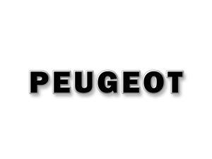 Peugeot Brand